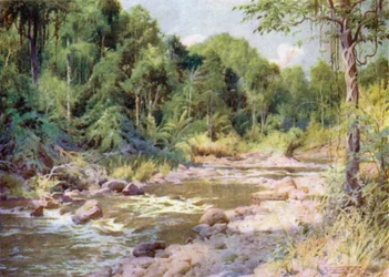 On the Sterne River